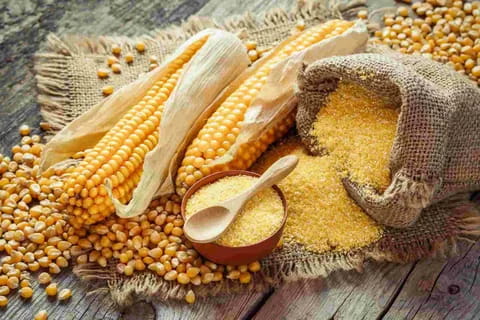 تصویر 4 از خرید ارد ذرت + بهترین قیمت
